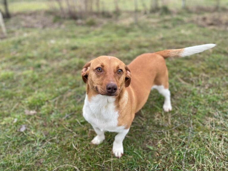 659685680_25483817174626990_4189216508844481769_n