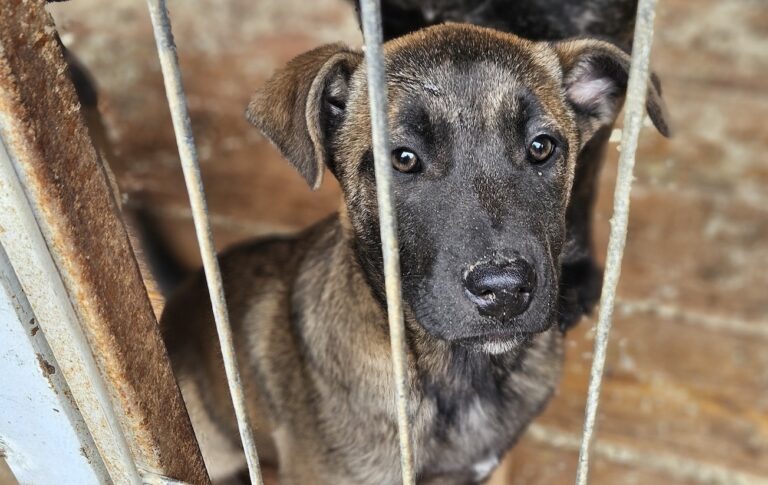 659817217_27254222540831384_91167169501544026_n