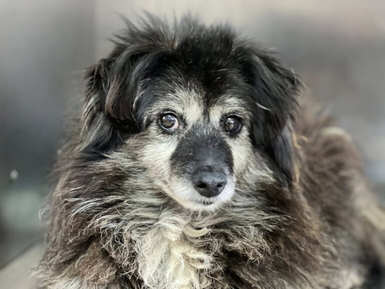 660051782_4248382338744902_8108528746974867946_n