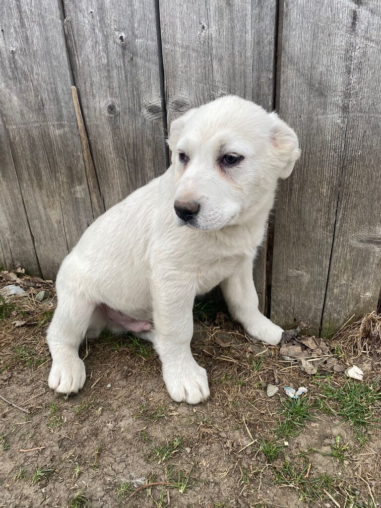 660111159_4248795255370277_4074044090762842965_n