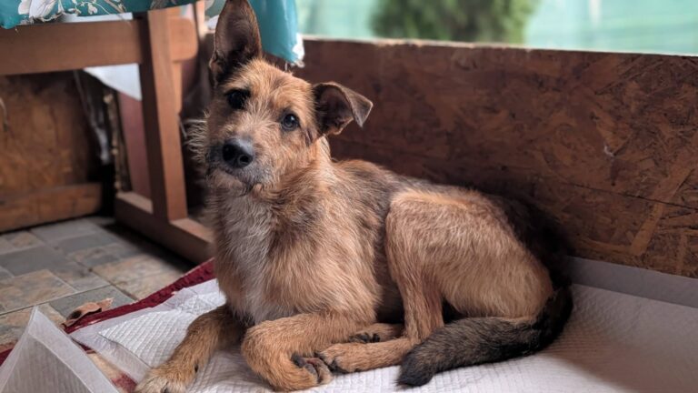 660288326_3443915135759209_5020124545765748210_n