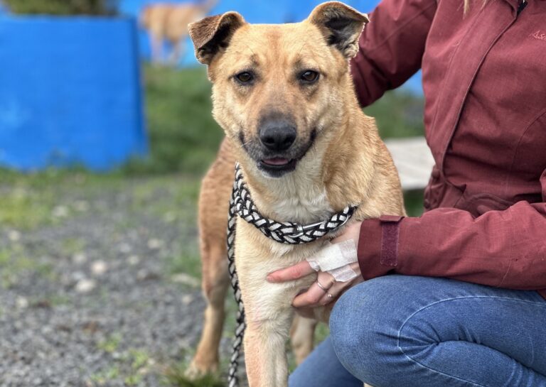 660399933_27246081778312127_5775714479101720516_n