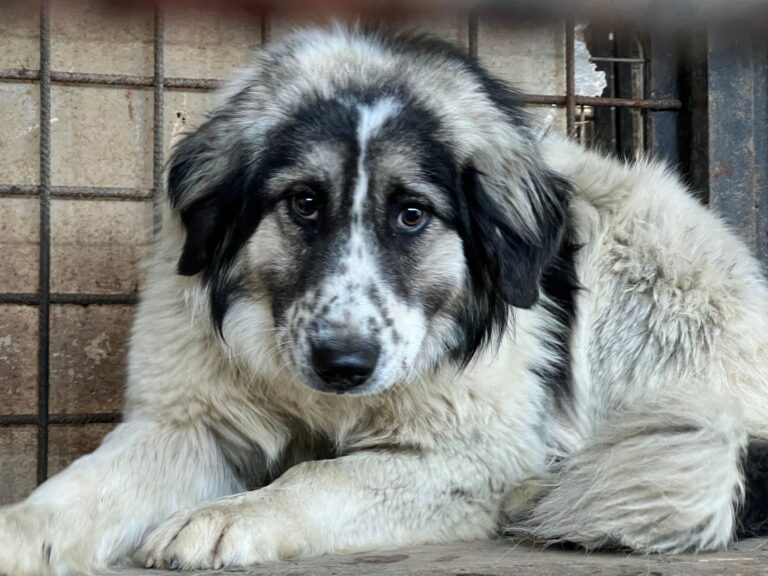 661068636_4249571231959346_3562557907183704216_n