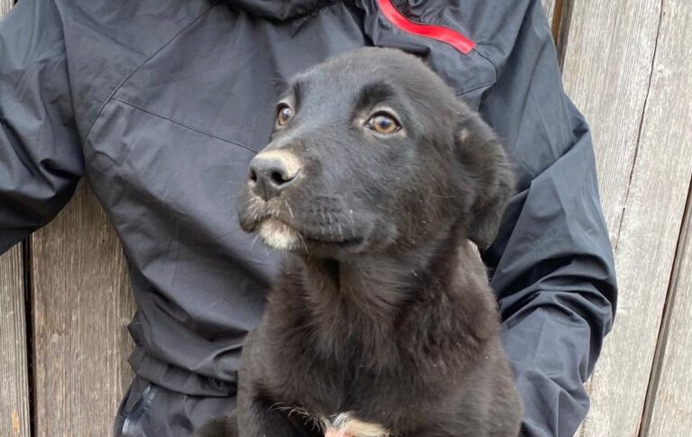 662494251_4252299298353206_1202019633124783358_n