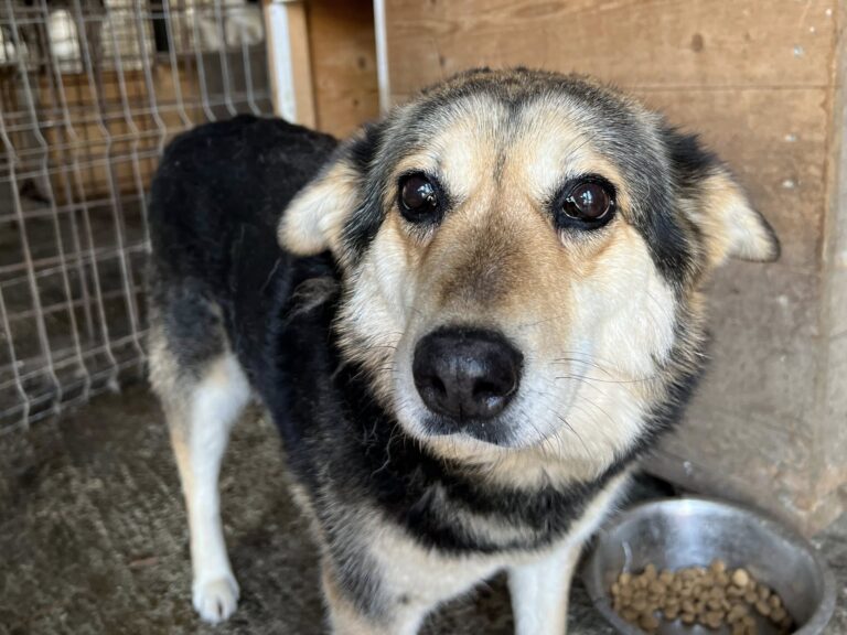 662502706_4245661732350296_4222616118591364803_n