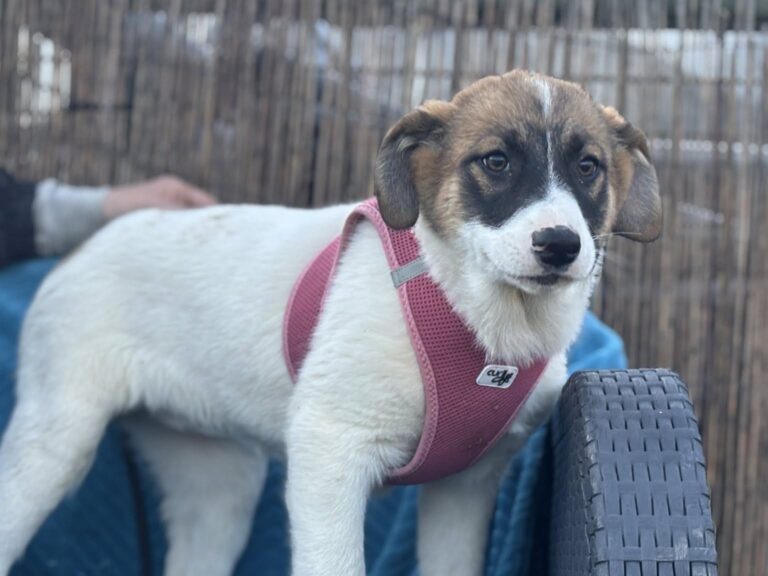 663214882_122235217154122691_6065730877282082598_n