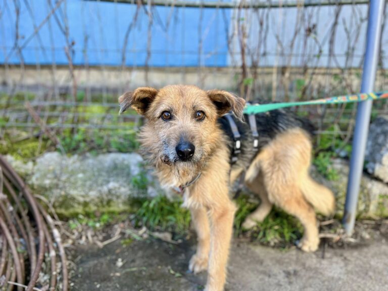 663244134_10242429851186485_432710299490678118_n