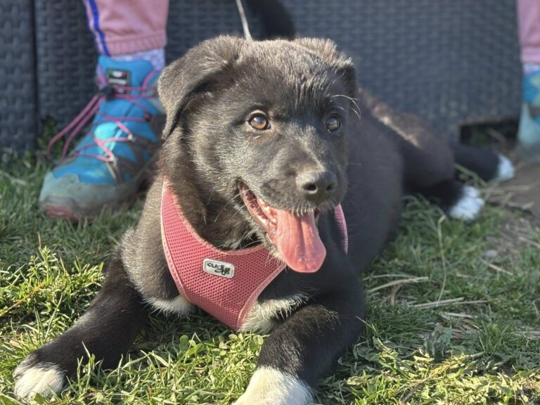 663302340_122235200492122691_7775902315759762570_n