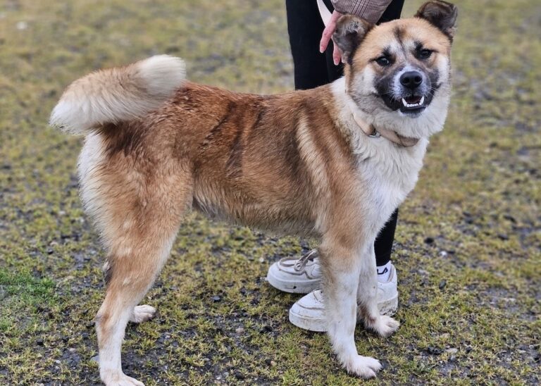 663308317_27254160320837606_2279766483906758259_n