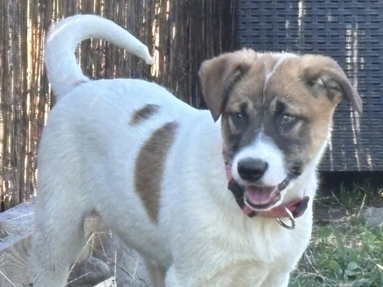 666314145_122235257234122691_6261815242313685833_n