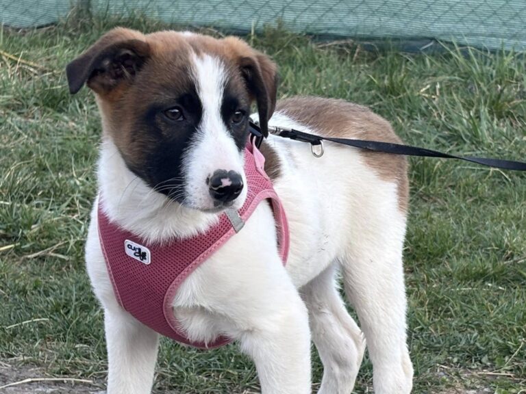 667469229_122235216014122691_8395190851085375508_n