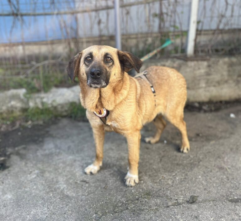 667522843_10242457175109566_9140891271538155066_n