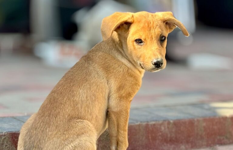 669045031_122166092408712445_2716418881321779345_n