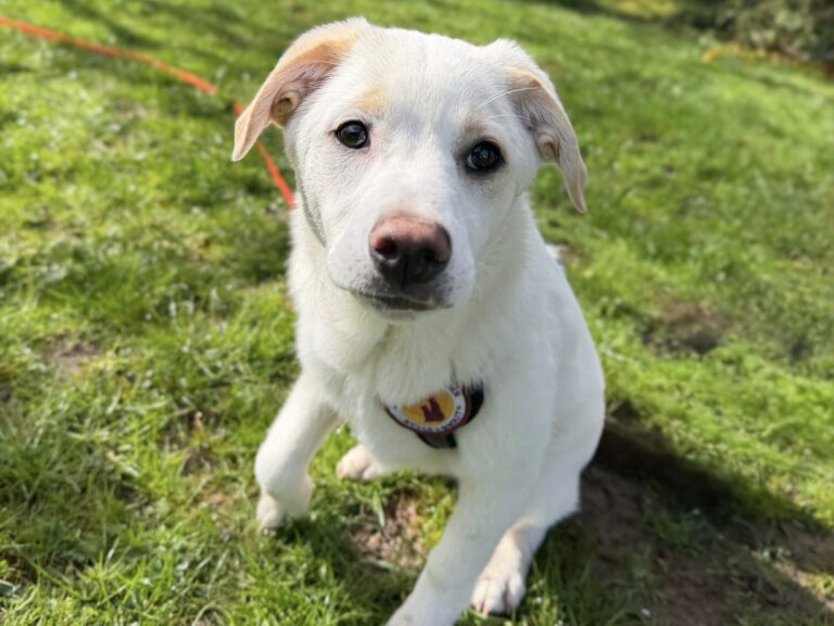 674528816_26403290685991871_4685345777967990284