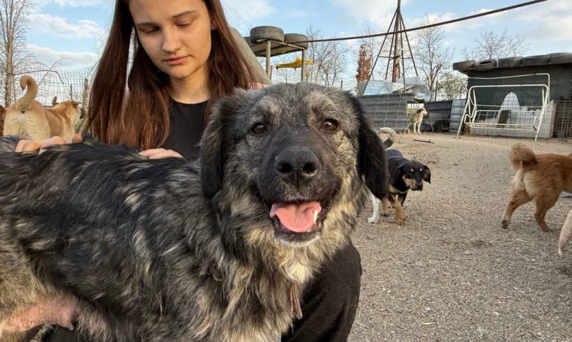 LAIKA