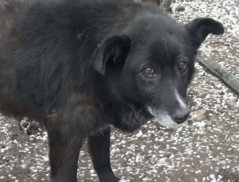 FB_IMG_1775130227205