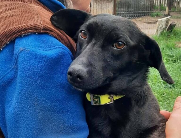 FB_IMG_1775632223384