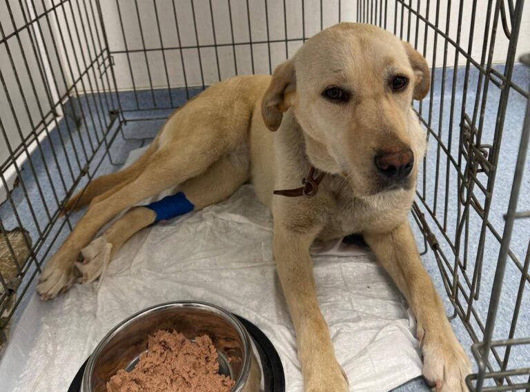 FB_IMG_1776065429481