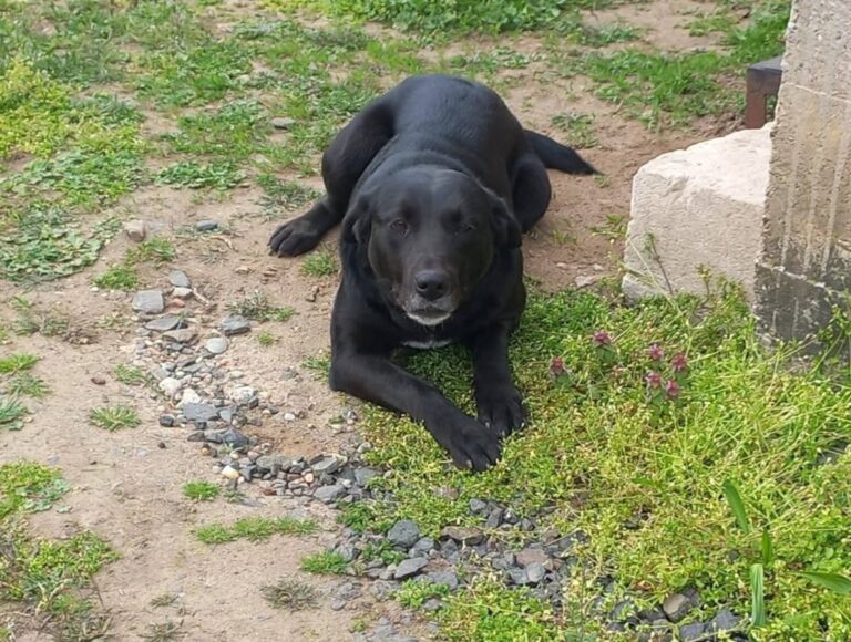 FB_IMG_1776065724618