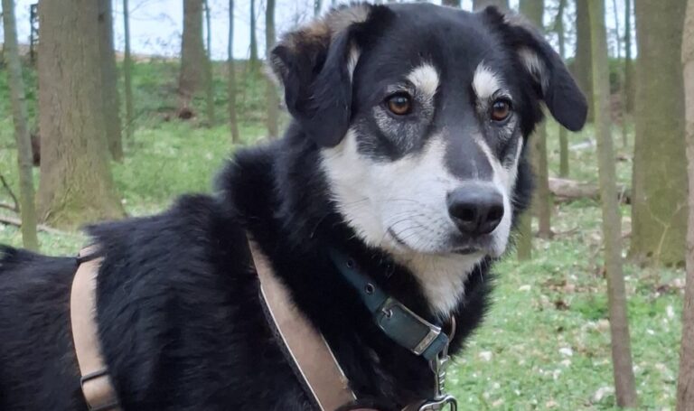 IMG-20260414-WA0137(1)