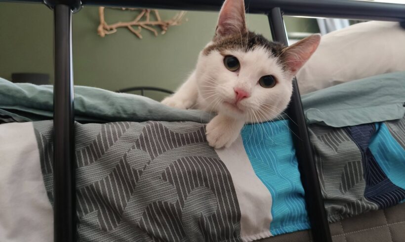 MURPHY