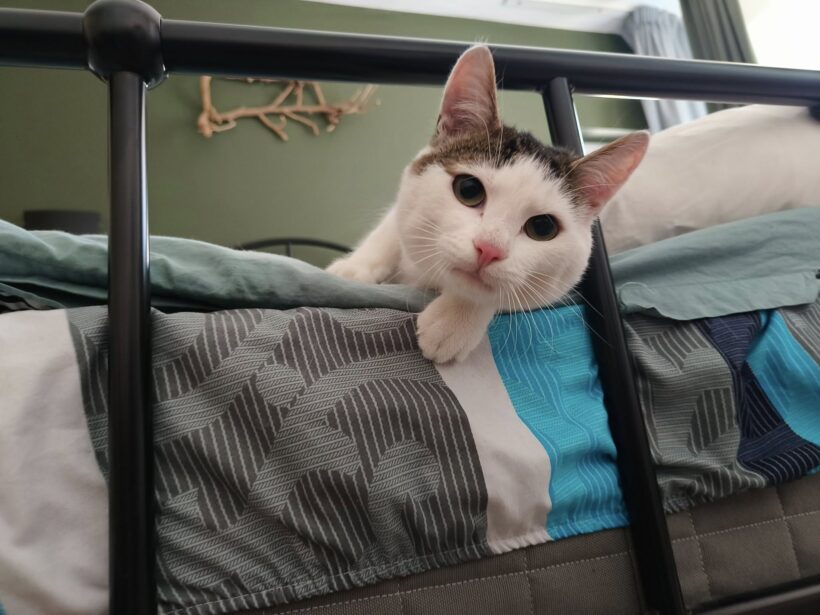 MURPHY