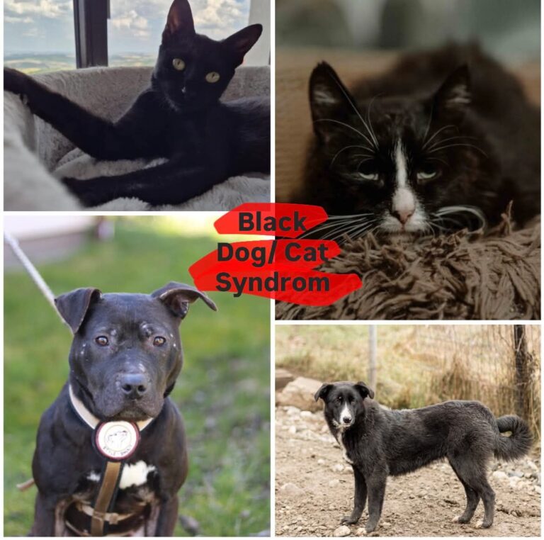 WhatsApp Image 2026-04-09 at 07.15