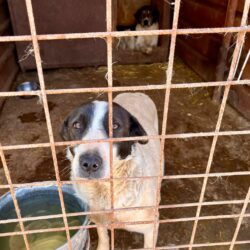 14 Leben zwischen Hoffnung und Abgrund
