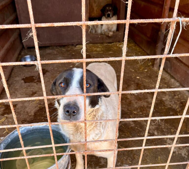 WhatsApp Image 2026-04-11 at 08.00