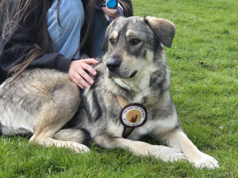 d2a68b82-050a-4eb9-9209-55ce7bd24470