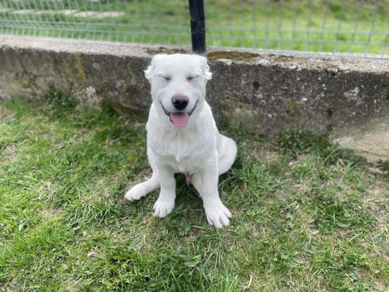 e9c3c9e8-080c-4dd3-b4ca-633e708c5a5a