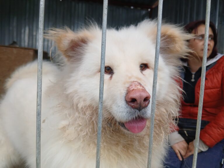 inbound6460011183688373166