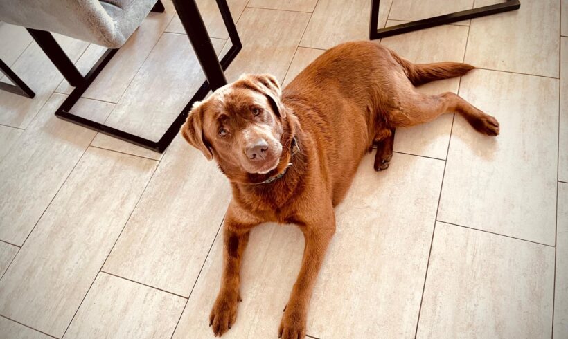 COPPER