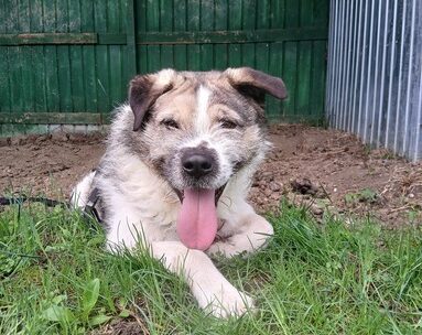 inbound8434044977700433687