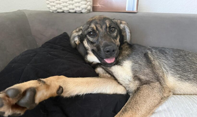 KIRA