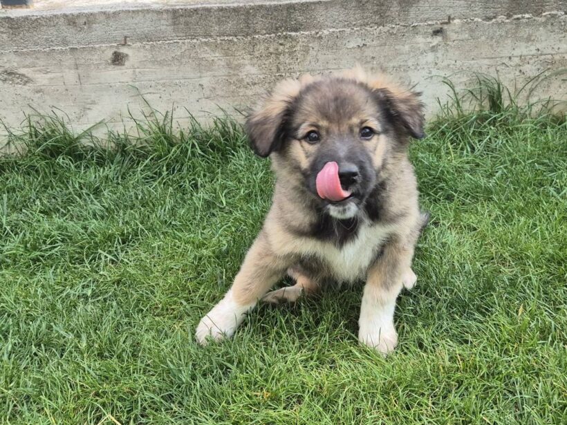 SKYE SKYE