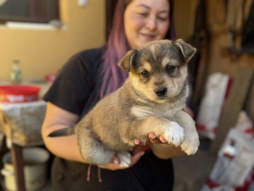 MABLI MABLI