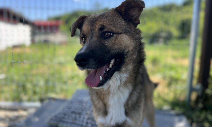 KYO