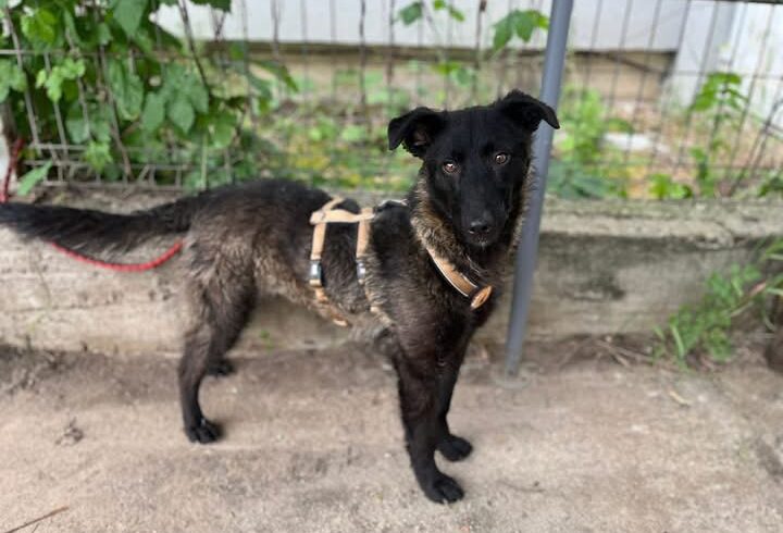 LEILANY