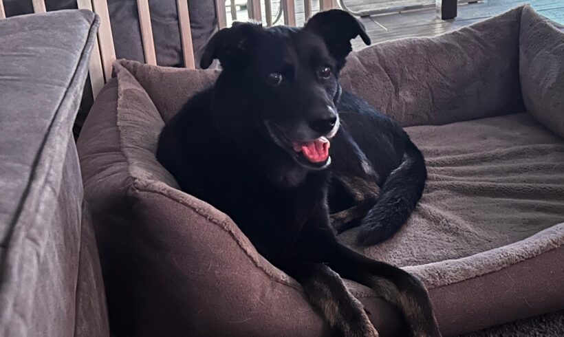 EBONY