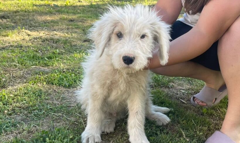 CASPIAN