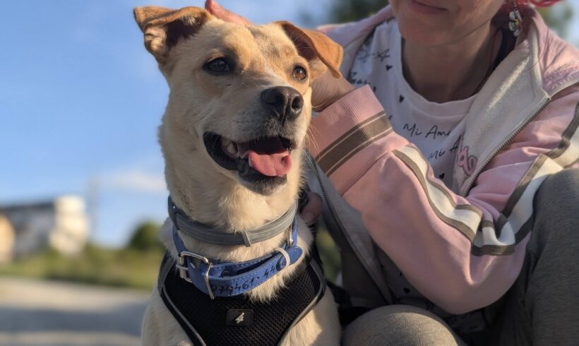 LIO