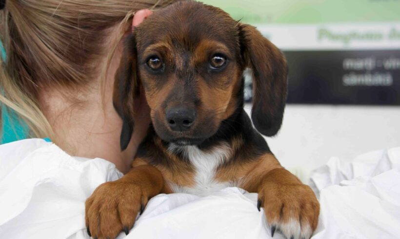 COOPER