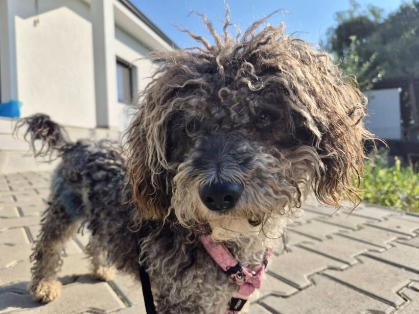 KRÜMEL KRÜMEL