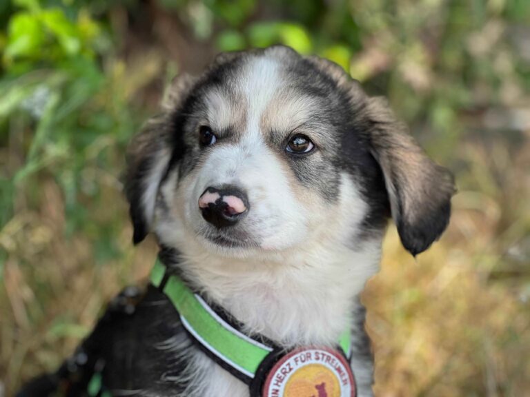 IMG_6163_11zon