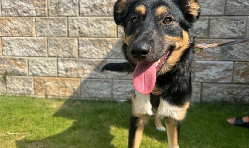 OTTO