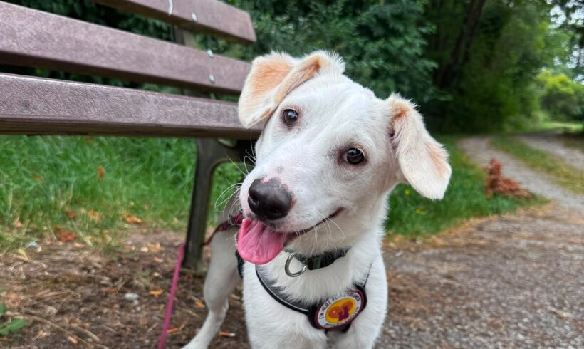 WINNIE
