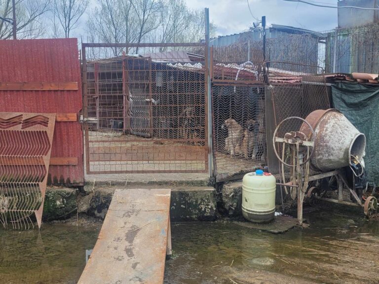 395568677_646742864308154_4871728540709251350_n