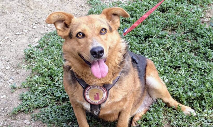 THYRA
