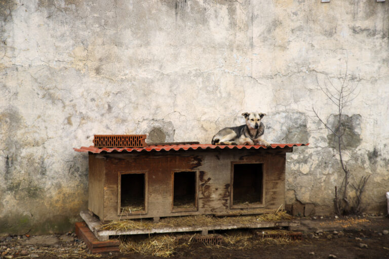 busag-4